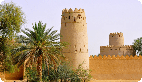 العين